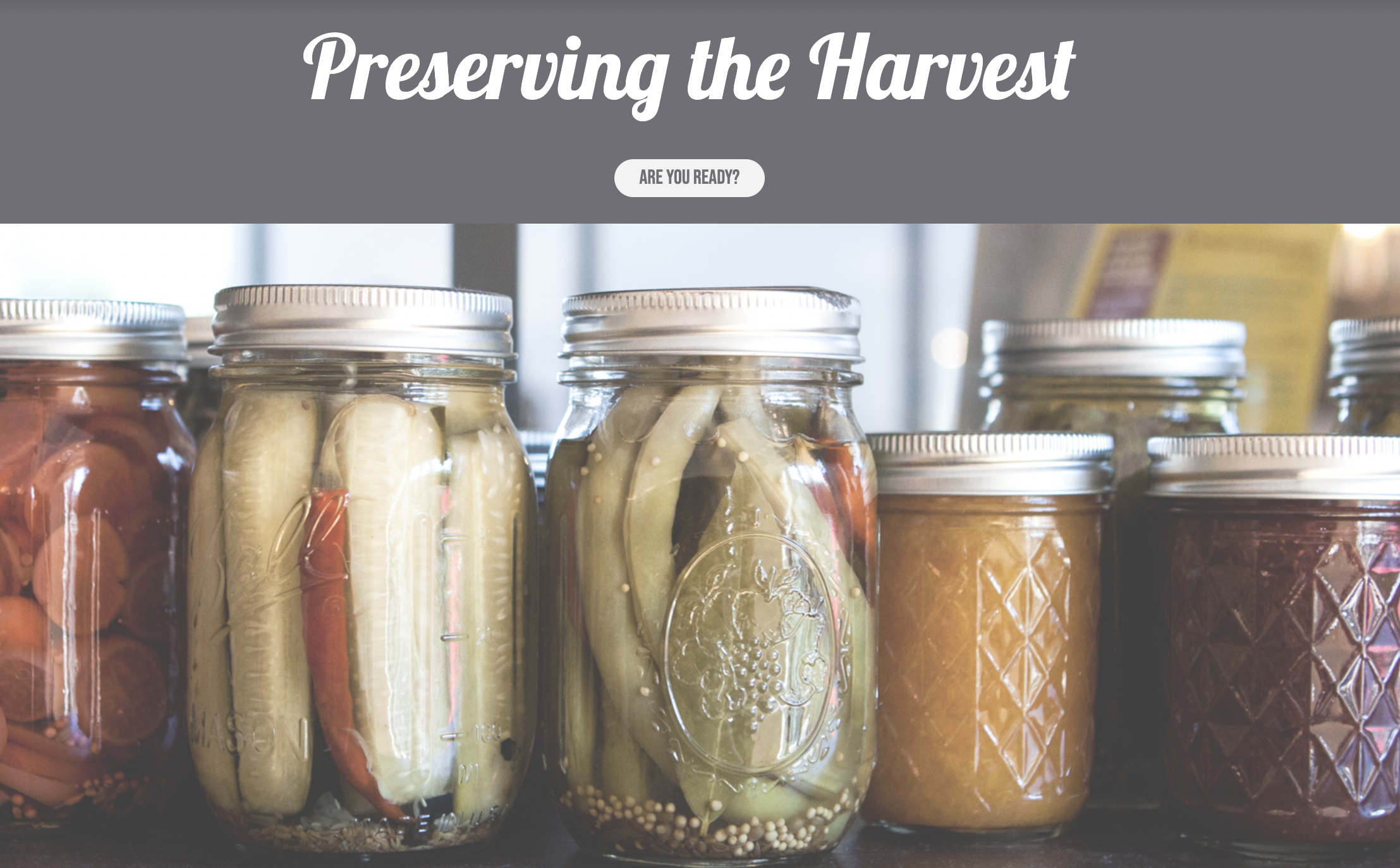 photo of food preserved in mason jars